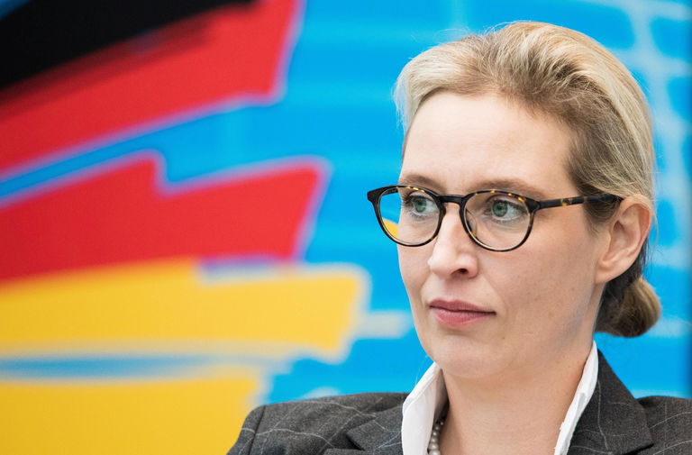 Chi è Alice Weidel, il volto nuovo dell'AFD - Open