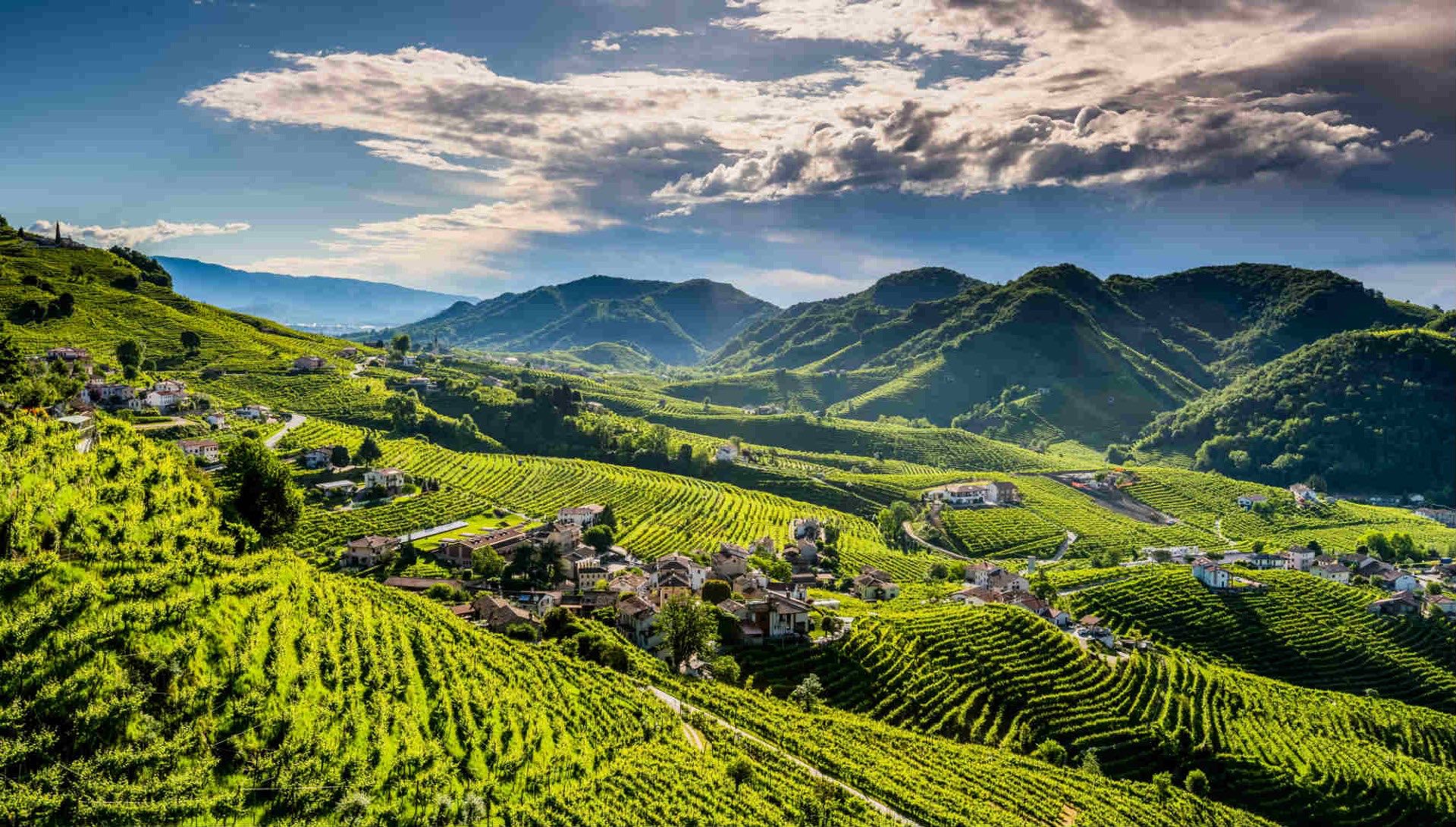 valdobbiadene colline prosecco conegliano candidatura dolza vigne werelderfgoedlijst tridente entrano follina venetien sternfahrt radtour itt spoilers fallisce heuvels treviso mousserende